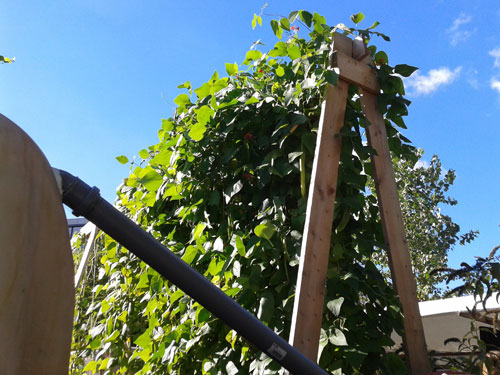 Prinzessinnengärten_kmg